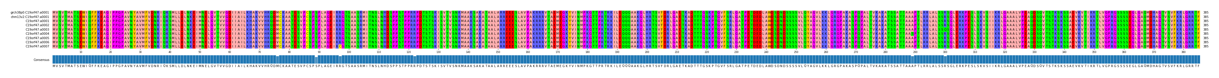 Multiple Alignments (by translate haplotype frequency)