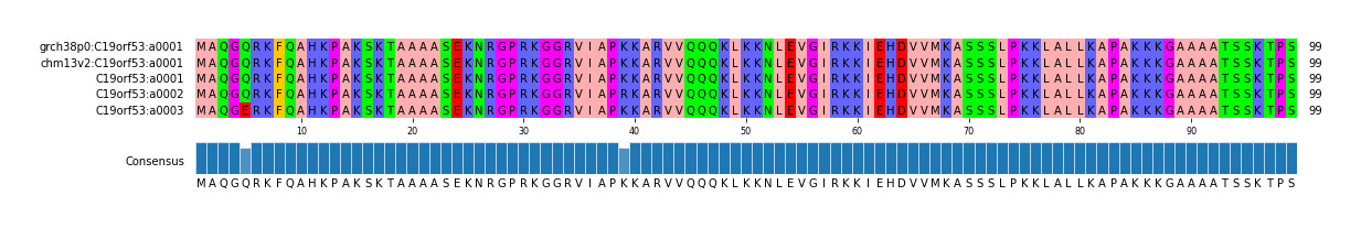 Multiple Alignments (by translate haplotype frequency)