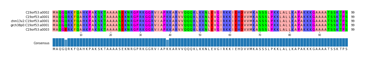 Multiple Alignments (by translate haplotype similarity)