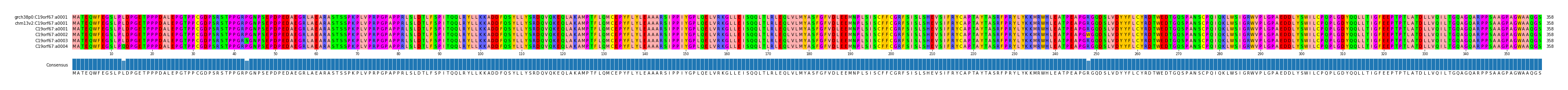 Multiple Alignments (by translate haplotype frequency)