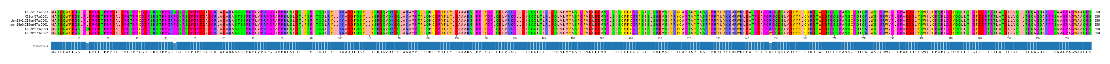 Multiple Alignments (by translate haplotype similarity)