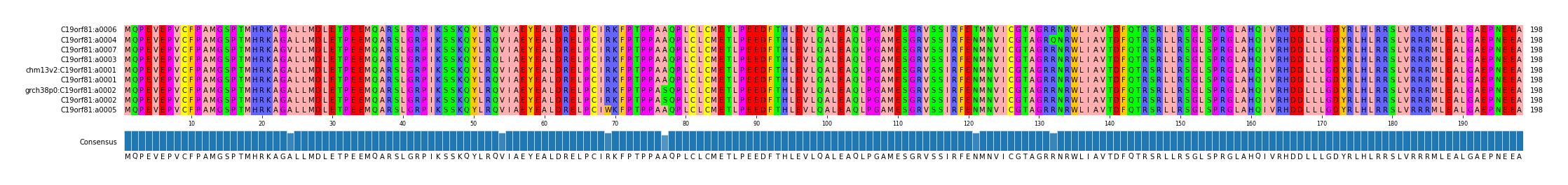 Multiple Alignments (by translate haplotype similarity)
