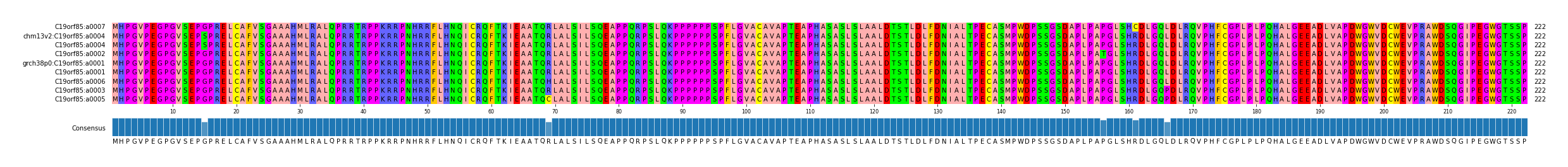 Multiple Alignments (by translate haplotype similarity)
