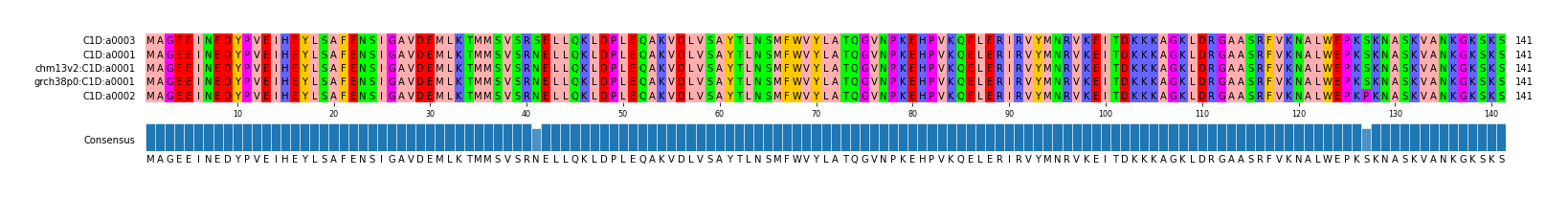 Multiple Alignments (by translate haplotype similarity)
