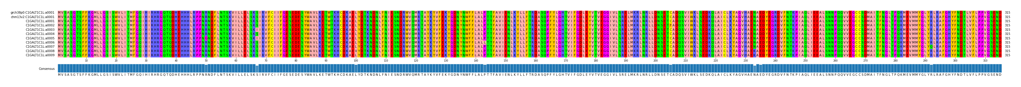 Multiple Alignments (by translate haplotype frequency)