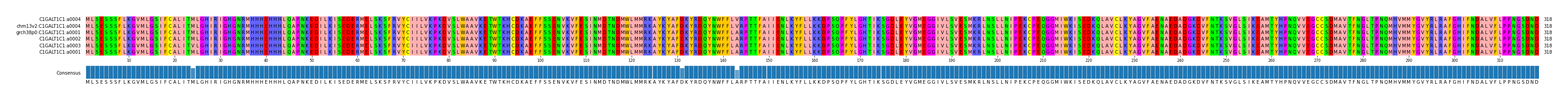 Multiple Alignments (by translate haplotype similarity)