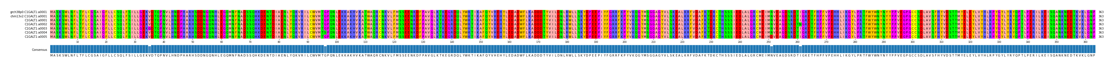 Multiple Alignments (by translate haplotype frequency)