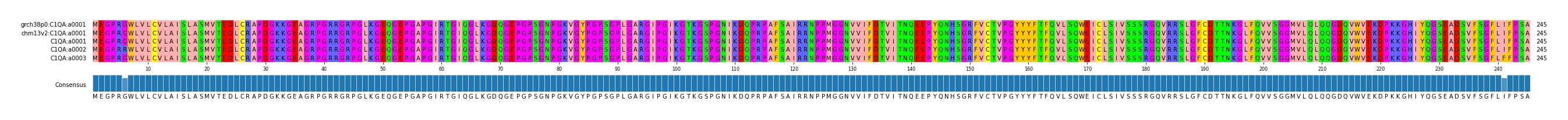Multiple Alignments (by translate haplotype frequency)