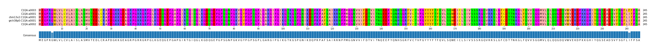 Multiple Alignments (by translate haplotype similarity)