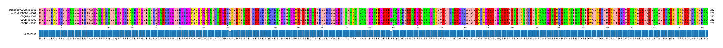 Multiple Alignments (by translate haplotype frequency)