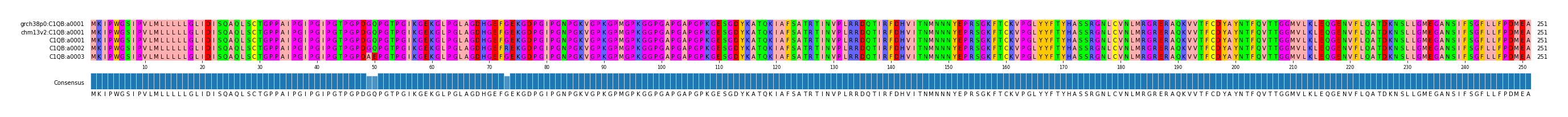 Multiple Alignments (by translate haplotype frequency)