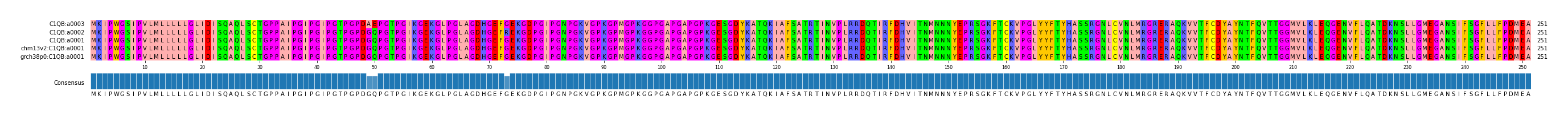 Multiple Alignments (by translate haplotype similarity)