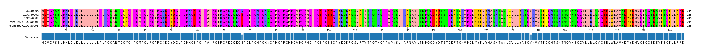 Multiple Alignments (by translate haplotype similarity)