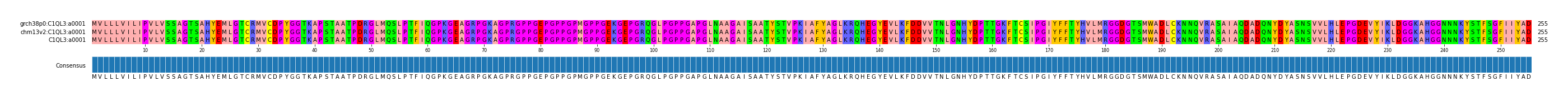 Multiple Alignments (by translate haplotype similarity)