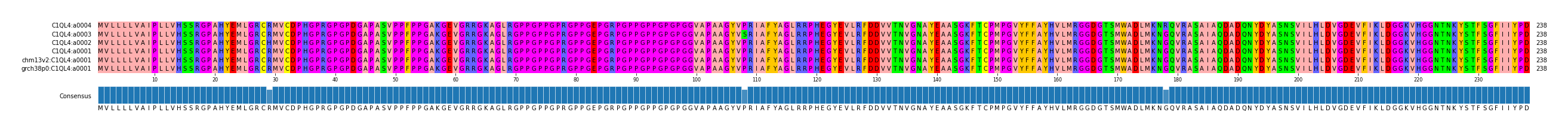 Multiple Alignments (by translate haplotype similarity)