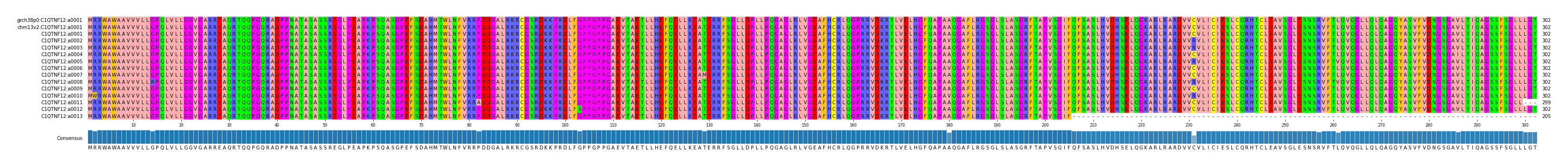 Multiple Alignments (by translate haplotype frequency)