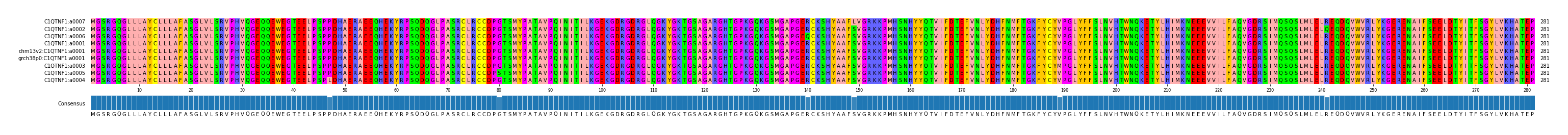 Multiple Alignments (by translate haplotype similarity)