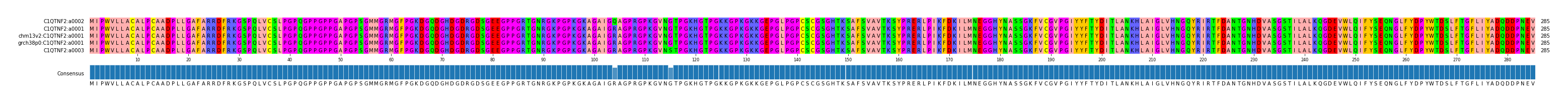 Multiple Alignments (by translate haplotype similarity)