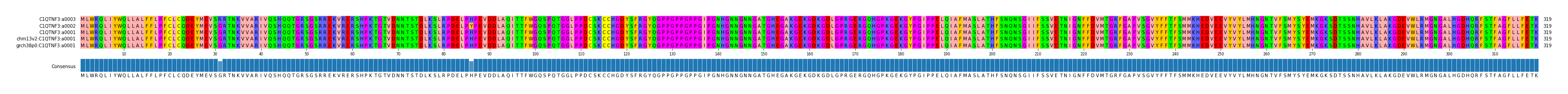 Multiple Alignments (by translate haplotype similarity)