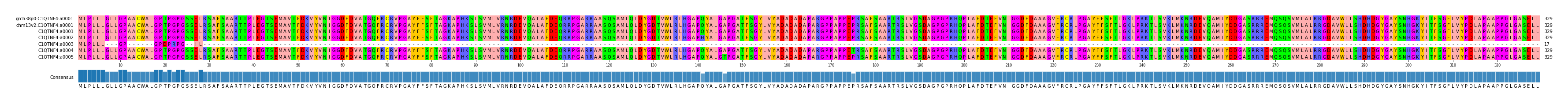 Multiple Alignments (by translate haplotype frequency)