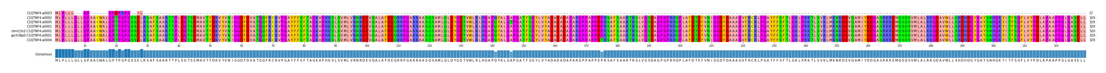 Multiple Alignments (by translate haplotype similarity)