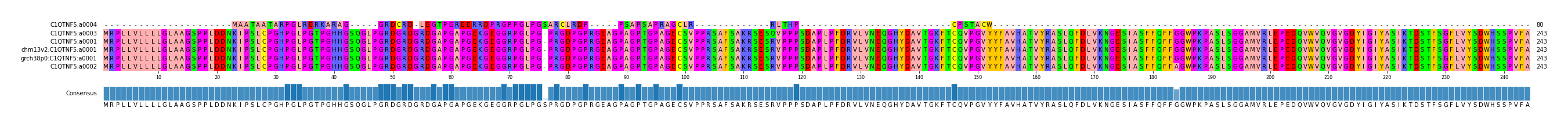 Multiple Alignments (by translate haplotype similarity)