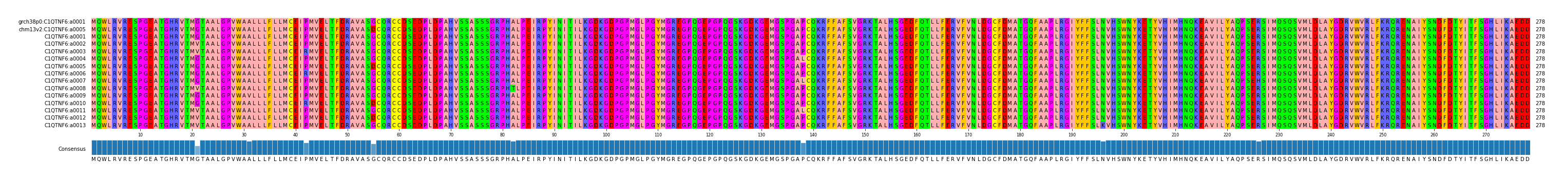 Multiple Alignments (by translate haplotype frequency)
