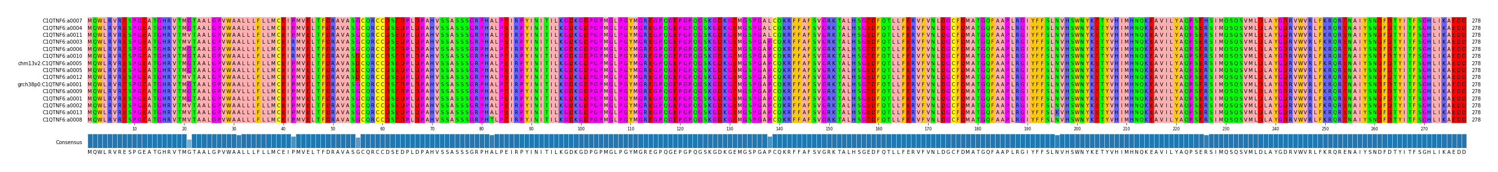 Multiple Alignments (by translate haplotype similarity)