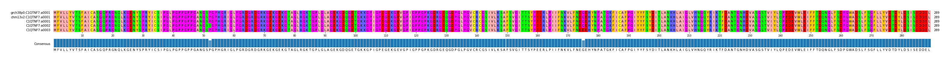 Multiple Alignments (by translate haplotype frequency)