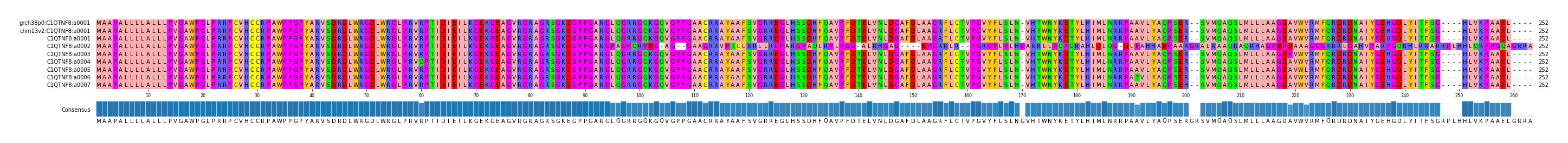 Multiple Alignments (by translate haplotype frequency)