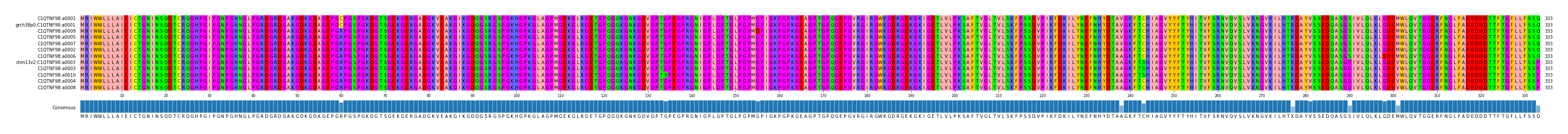 Multiple Alignments (by translate haplotype similarity)