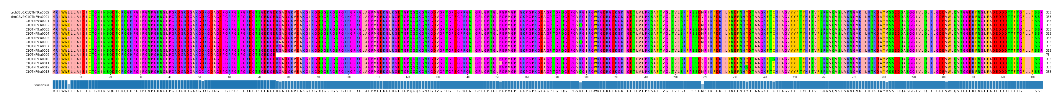 Multiple Alignments (by translate haplotype frequency)