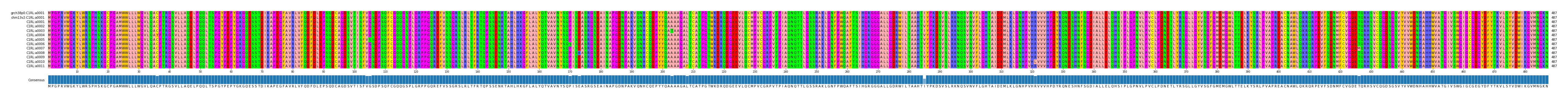 Multiple Alignments (by translate haplotype frequency)