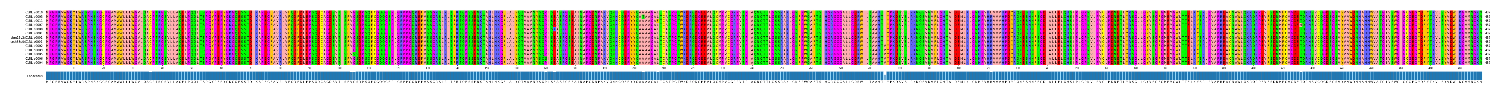 Multiple Alignments (by translate haplotype similarity)