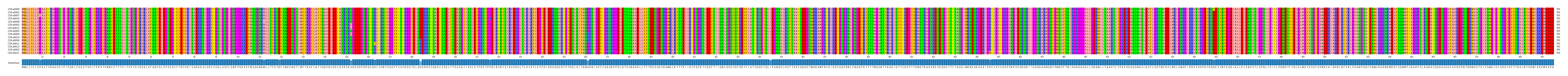 Multiple Alignments (by translate haplotype similarity)