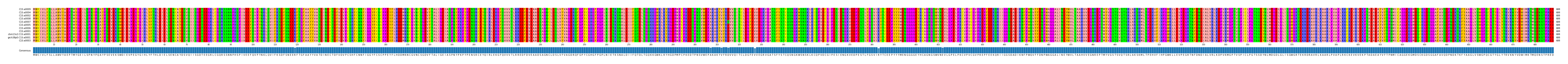 Multiple Alignments (by translate haplotype similarity)