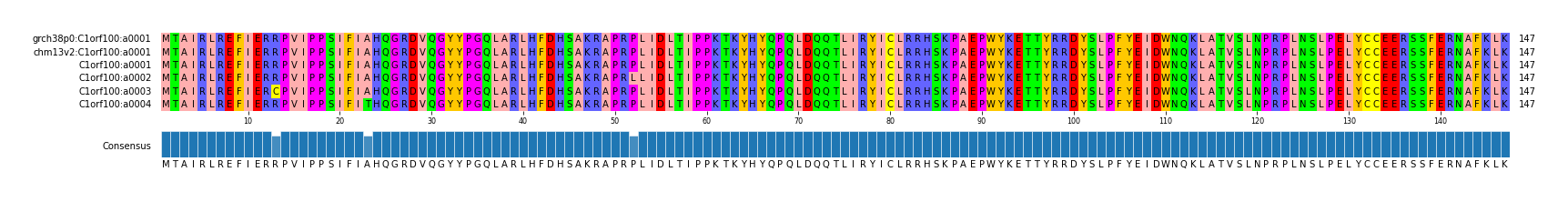 Multiple Alignments (by translate haplotype frequency)