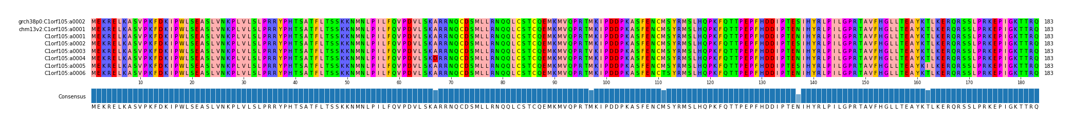 Multiple Alignments (by translate haplotype frequency)