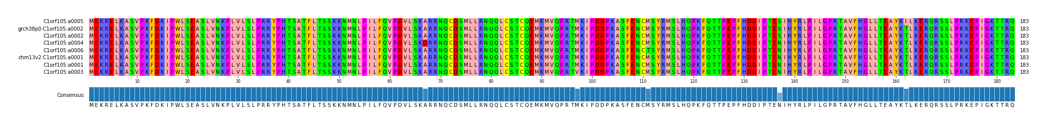 Multiple Alignments (by translate haplotype similarity)
