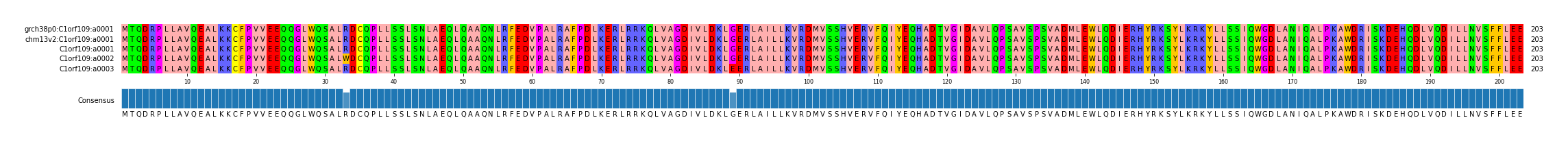 Multiple Alignments (by translate haplotype frequency)