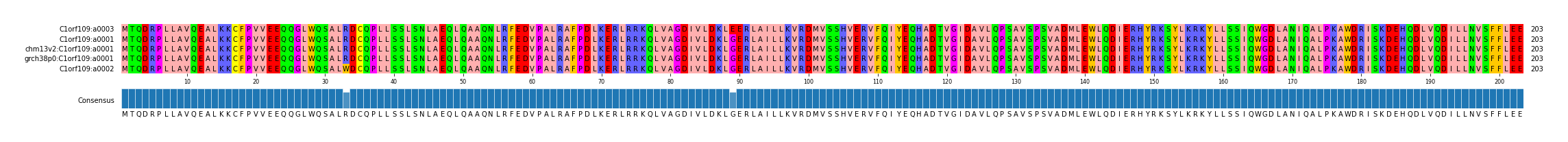 Multiple Alignments (by translate haplotype similarity)