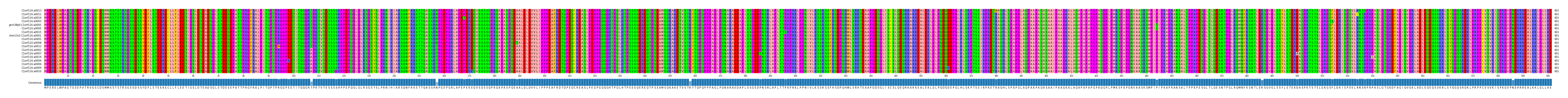 Multiple Alignments (by translate haplotype similarity)