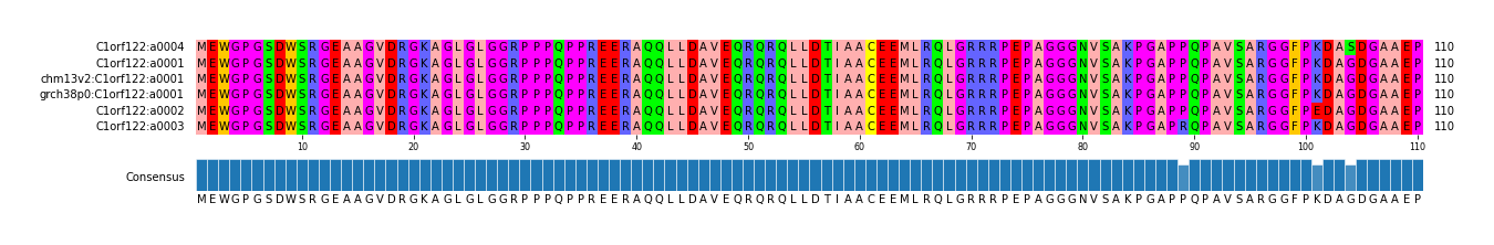 Multiple Alignments (by translate haplotype similarity)