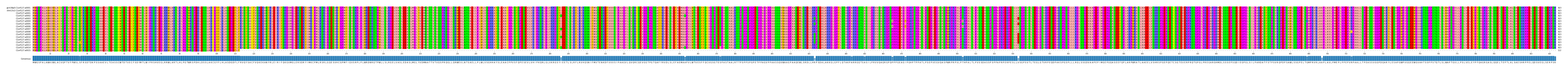 Multiple Alignments (by translate haplotype frequency)