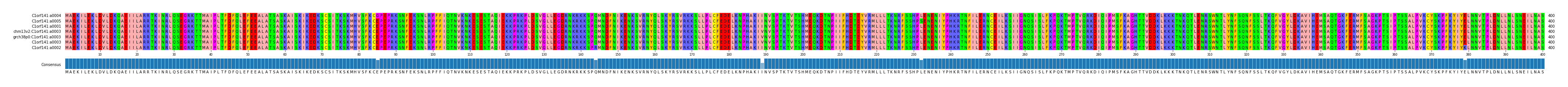 Multiple Alignments (by translate haplotype similarity)