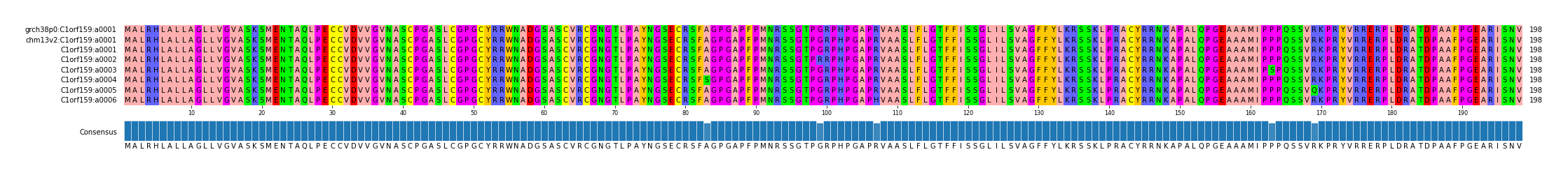 Multiple Alignments (by translate haplotype frequency)