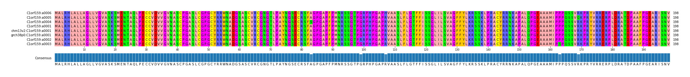 Multiple Alignments (by translate haplotype similarity)