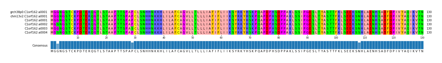 Multiple Alignments (by translate haplotype frequency)