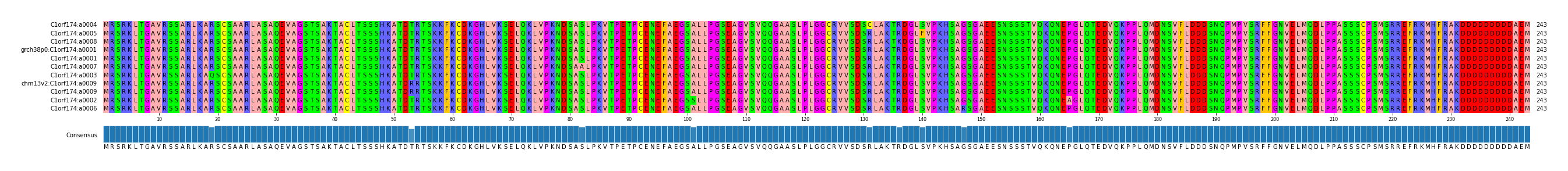 Multiple Alignments (by translate haplotype similarity)