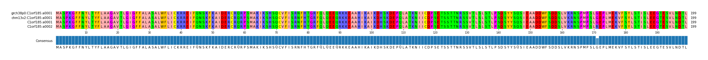 Multiple Alignments (by translate haplotype similarity)
